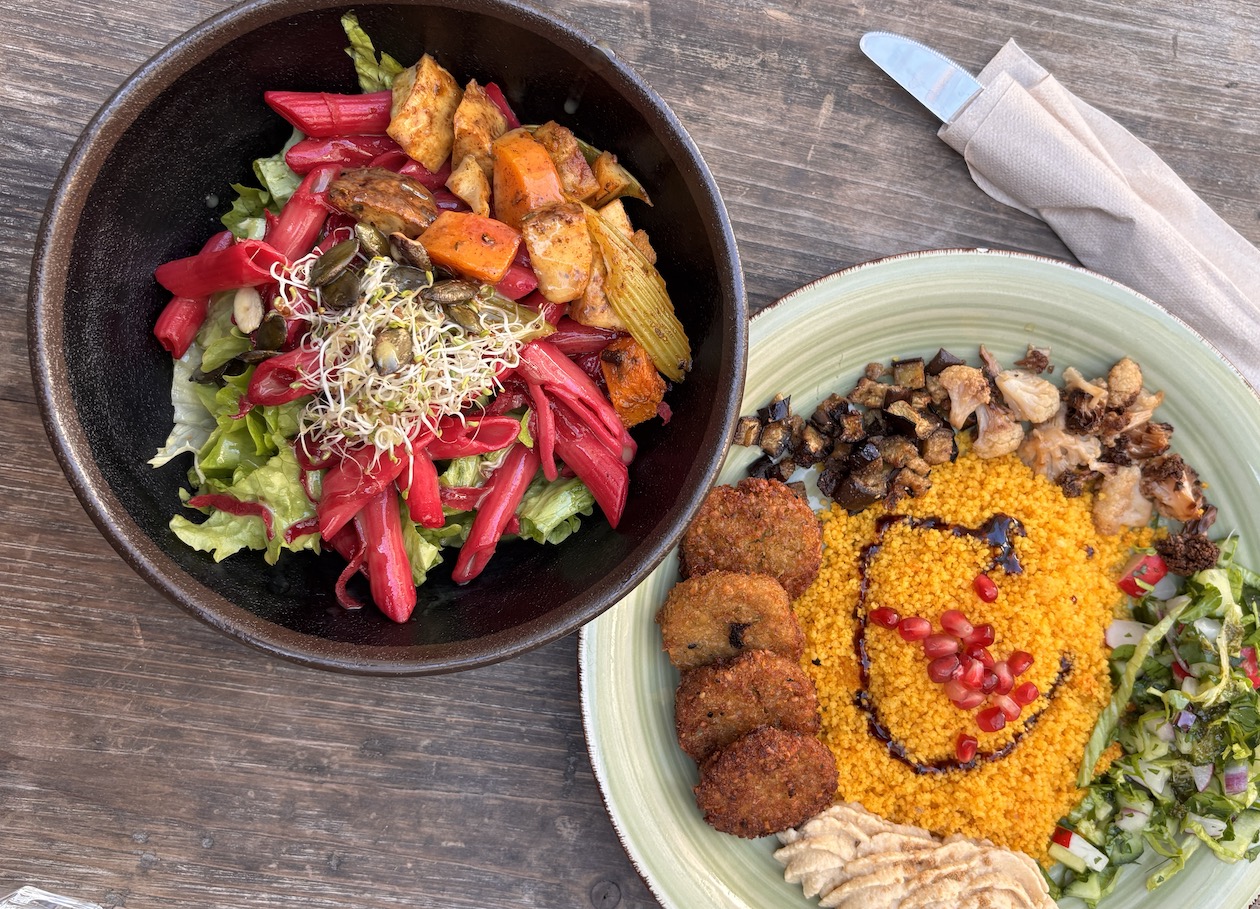 Zwei Teller mit buntem Essen. Rote Beete-Pasta mit Salat und Sellerie. Und einmal Couscous mit Salat, Humus und Falafel.