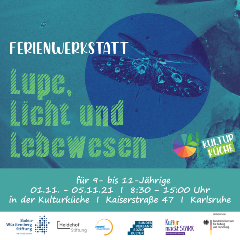 Kulturkueche_Spinne_Ferienangebot21
