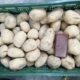 Kartoffeln_Feld
